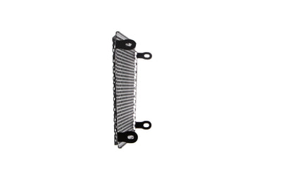 Evotech Radiator Guard - Aprilia Dorsoduro 750 (2008 - 2016)