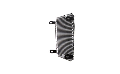 Evotech Aprilia Shiver SL 750 Radiator Guard (2007 - 2016)