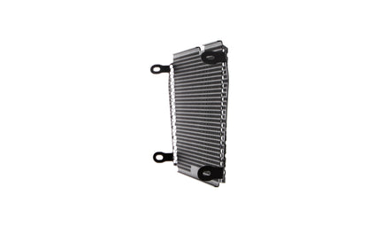 Evotech Radiator Guard - Aprilia Dorsoduro 750 (2008 - 2016)