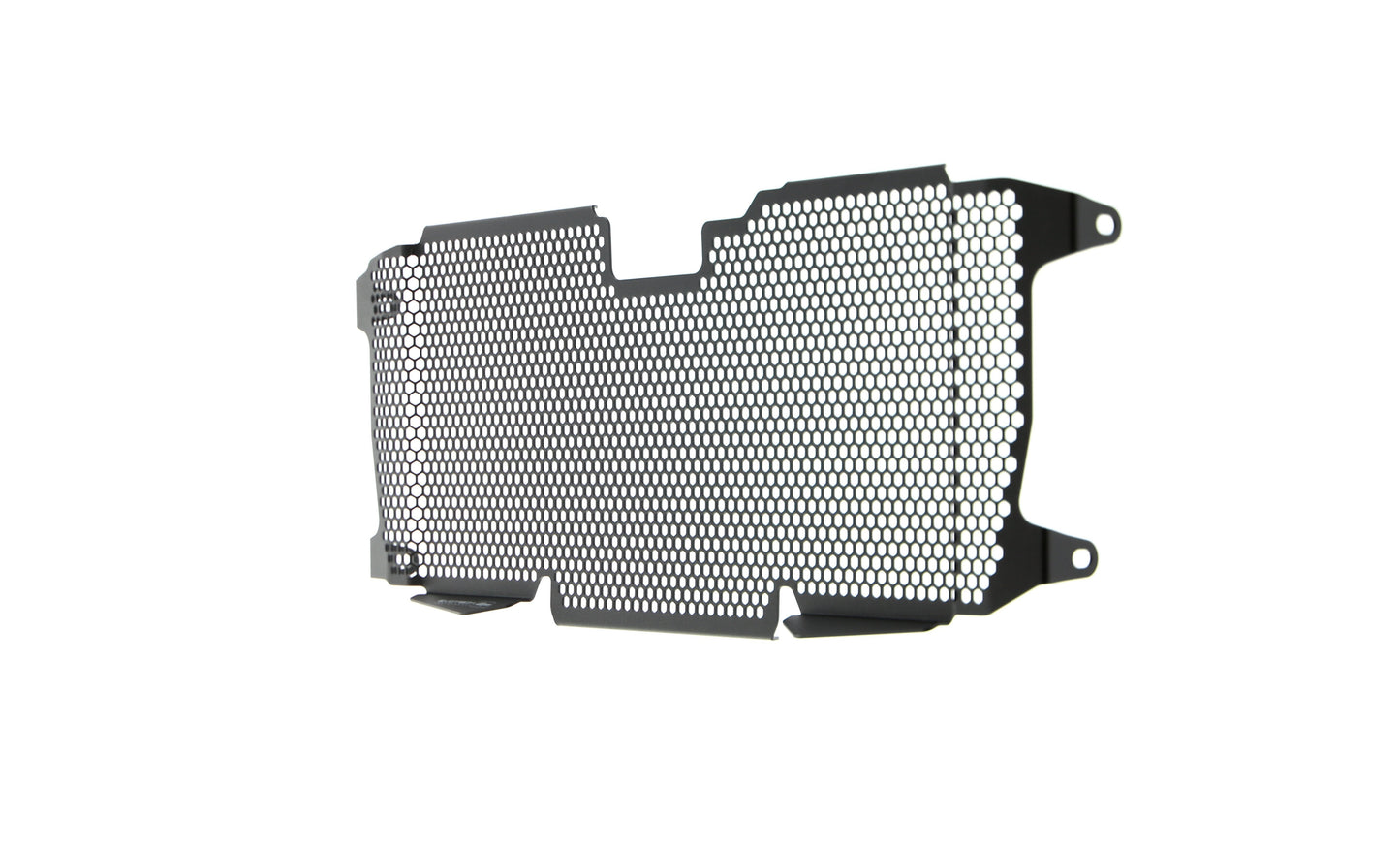 Evotech Radiator Guard - BMW R 1200 RS (2015 - 2018)