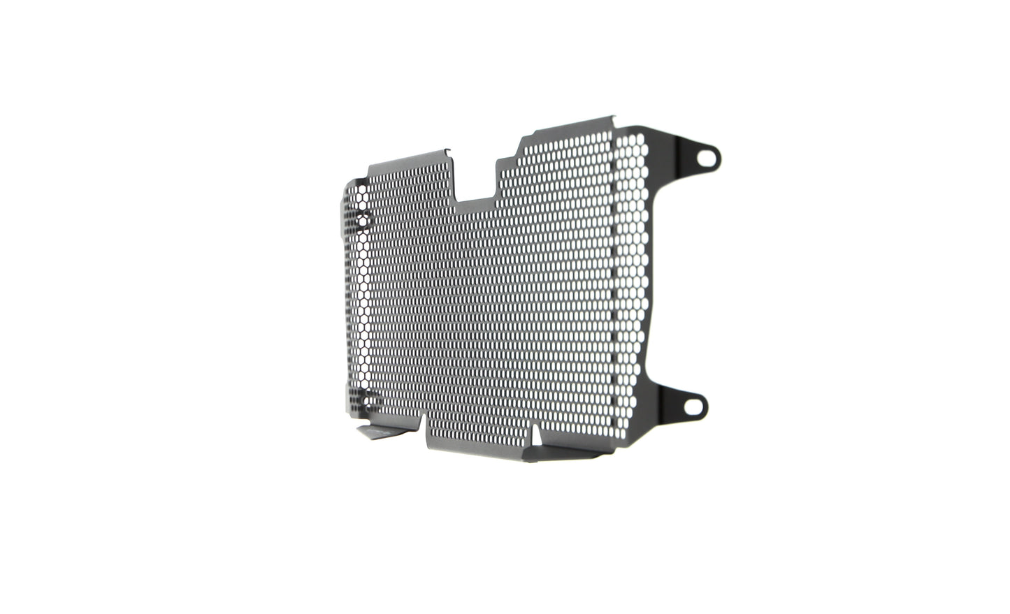 Evotech Radiator Guard - BMW R 1200 RS (2015 - 2018)