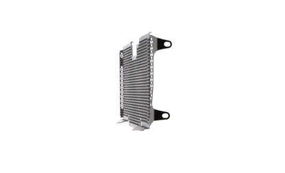 Evotech Radiator Guard - BMW R 1200 R (2015 - 2018)