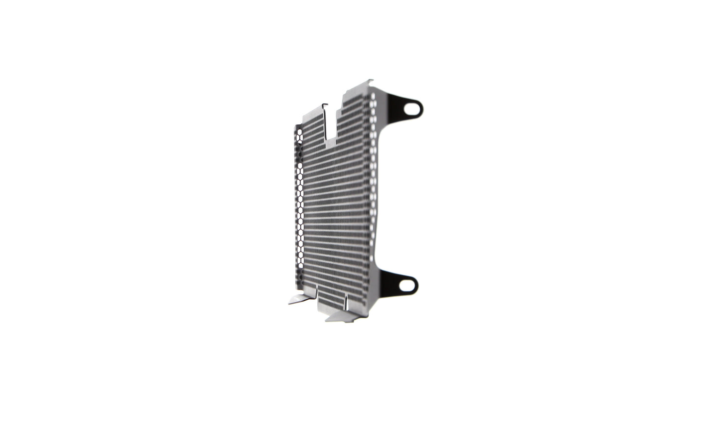 Evotech Radiator Guard - BMW R 1200 RS (2015 - 2018)