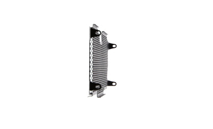 Evotech Radiator Guard - BMW R 1200 R (2015 - 2018)