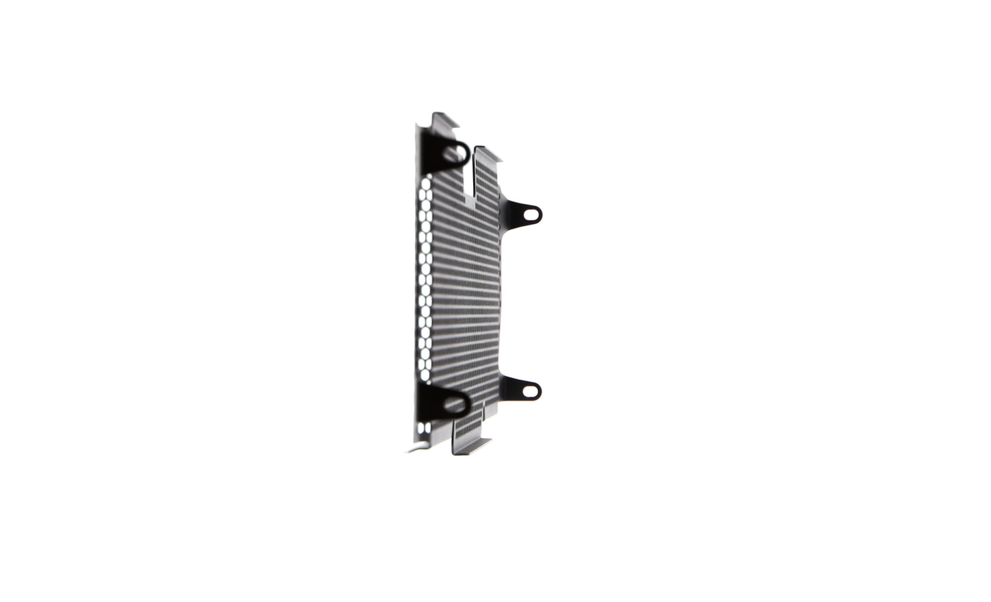 Evotech Radiator Guard - BMW R 1200 RS (2015 - 2018)