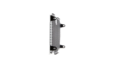 Evotech Radiator Guard - BMW R 1200 RS (2015 - 2018)