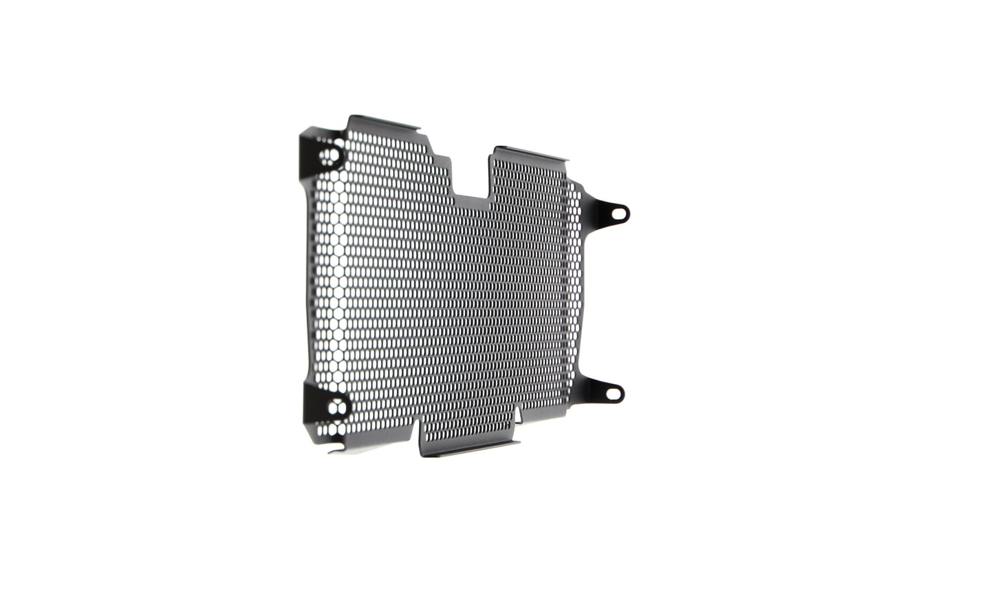 Evotech Radiator Guard - BMW R 1200 RS (2015 - 2018)