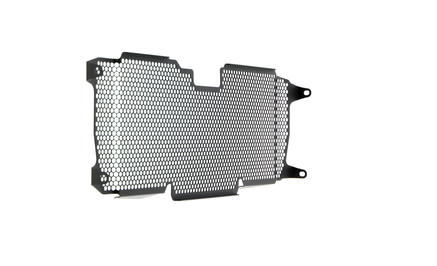 Evotech Radiator Guard - BMW R 1200 RS (2015 - 2018)