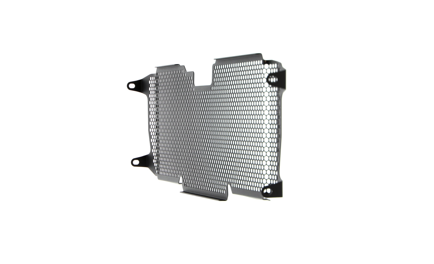 Evotech Radiator Guard - BMW R 1200 R (2015 - 2018)