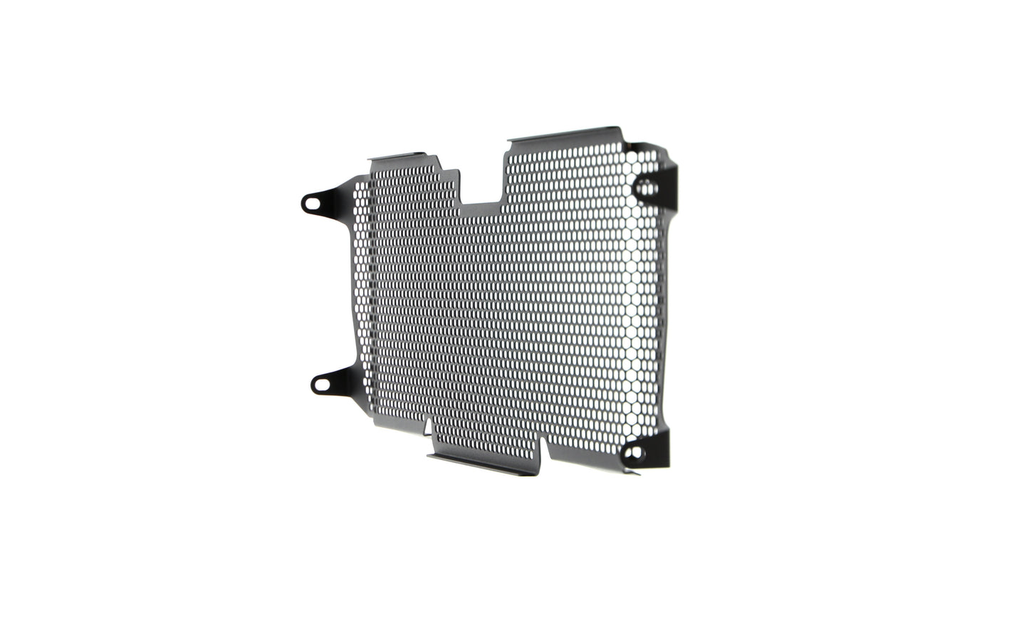 Evotech Radiator Guard - BMW R 1200 RS (2015 - 2018)