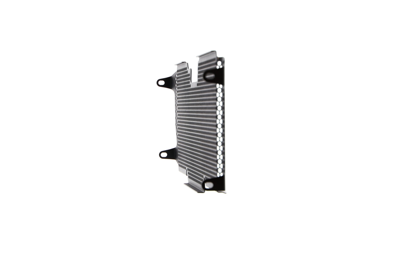 Evotech Radiator Guard - BMW R 1200 RS (2015 - 2018)