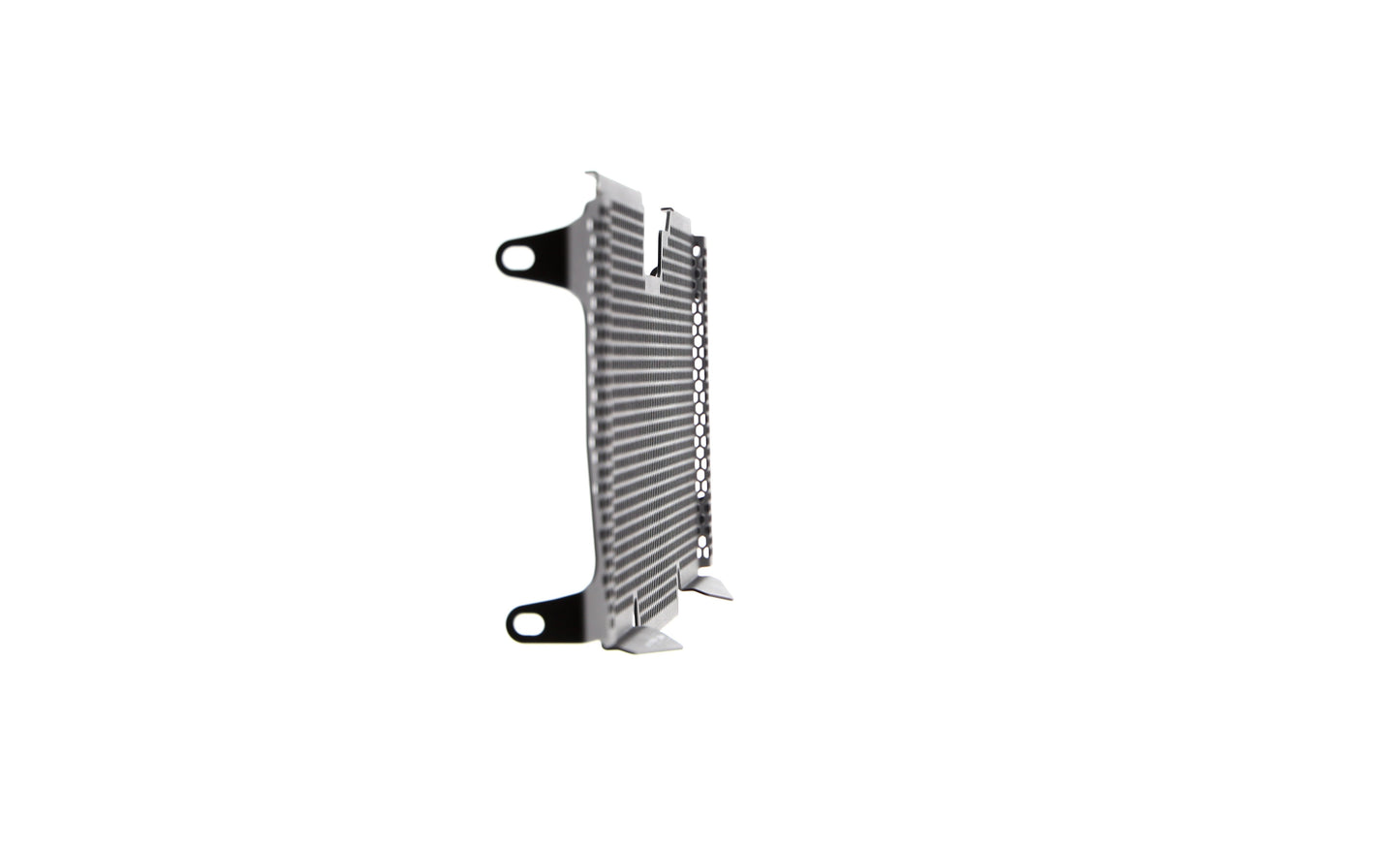 Evotech Radiator Guard - BMW R 1200 R (2015 - 2018)