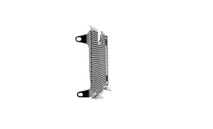Evotech Radiator Guard - BMW R 1200 RS (2015 - 2018)