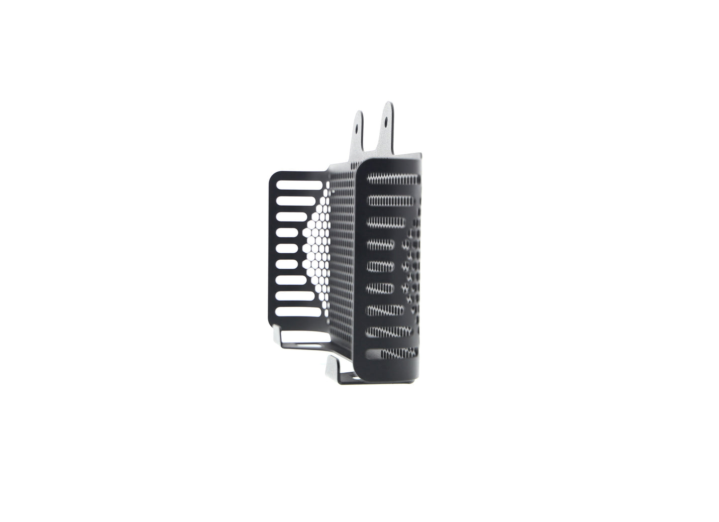 Evotech BMW R nineT Oil Cooler Guard (2017+)