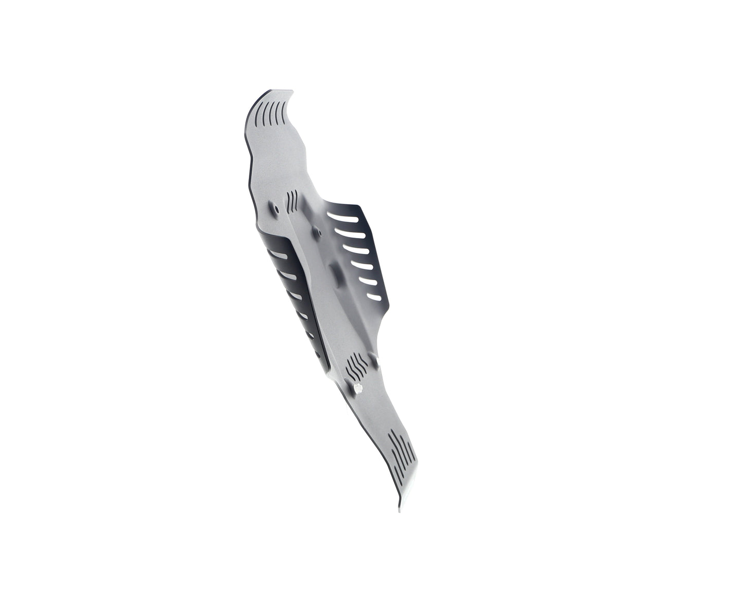 Evotech BMW R nineT Urban G/S - Edition 40 Years GS Racer Engine Guard (2021+)
