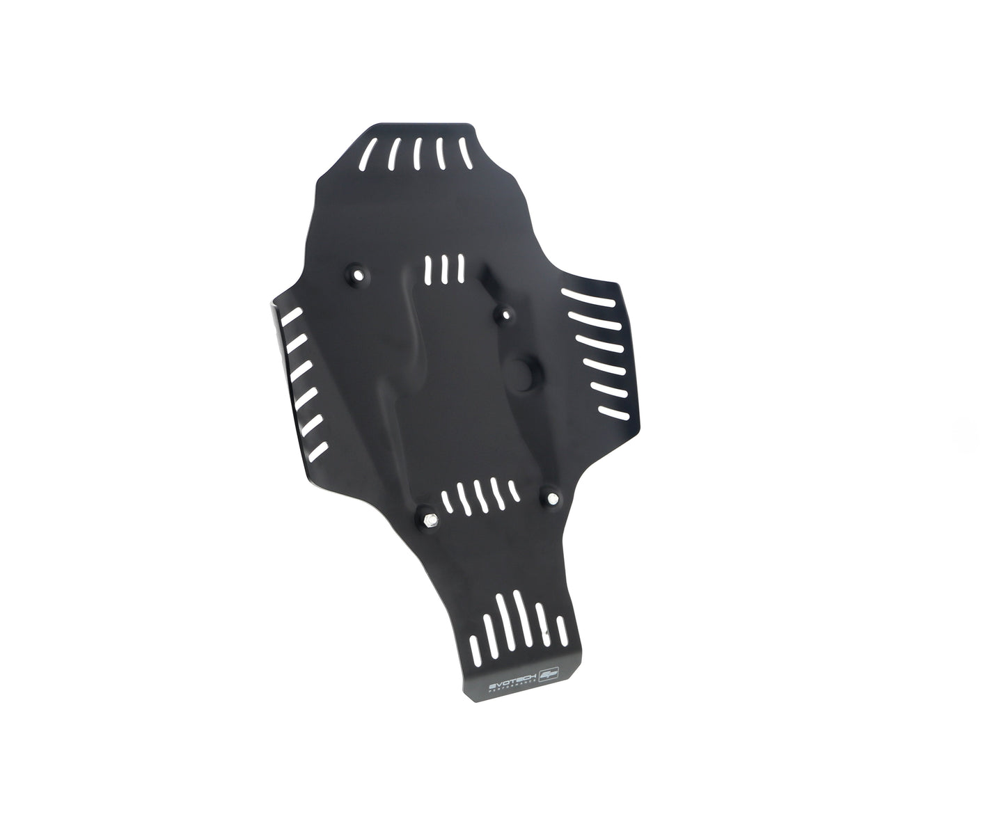 Evotech BMW R nineT Urban G/S - Edition 40 Years GS Racer Engine Guard (2021+)