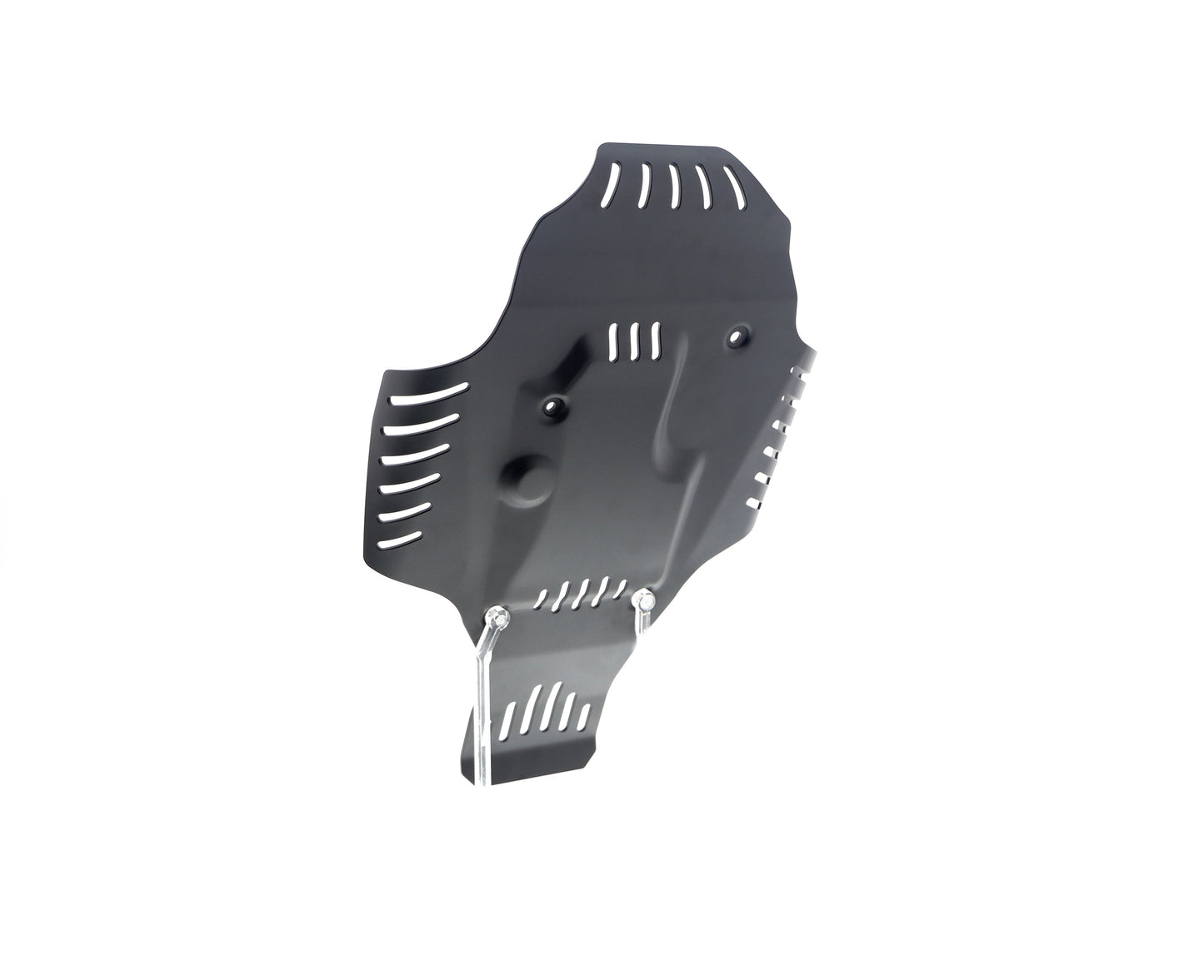 Evotech BMW R nineT Urban G/S - Edition 40 Years GS Racer Engine Guard (2021+)