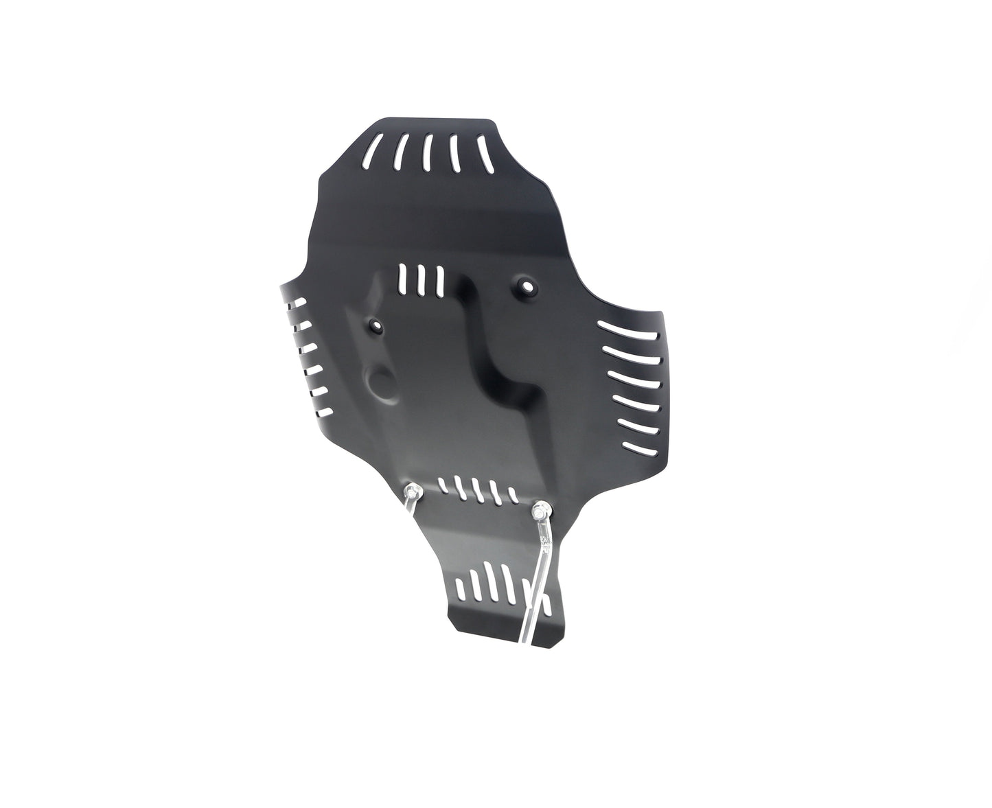 Evotech BMW R nineT Urban G/S - Edition 40 Years GS Racer Engine Guard (2021+)