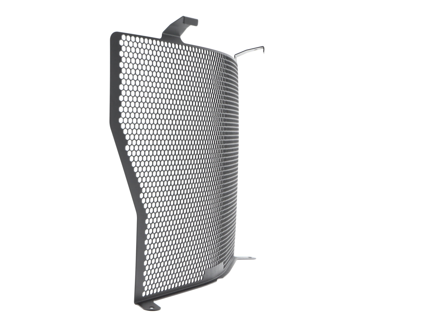 Evotech BMW S 1000 R Radiator Guard (2017-2020)