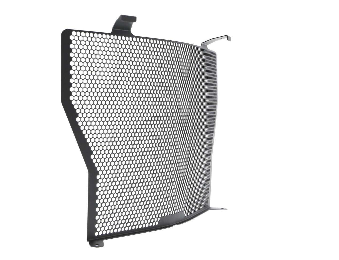 Evotech BMW S 1000 R Radiator Guard (2017-2020)
