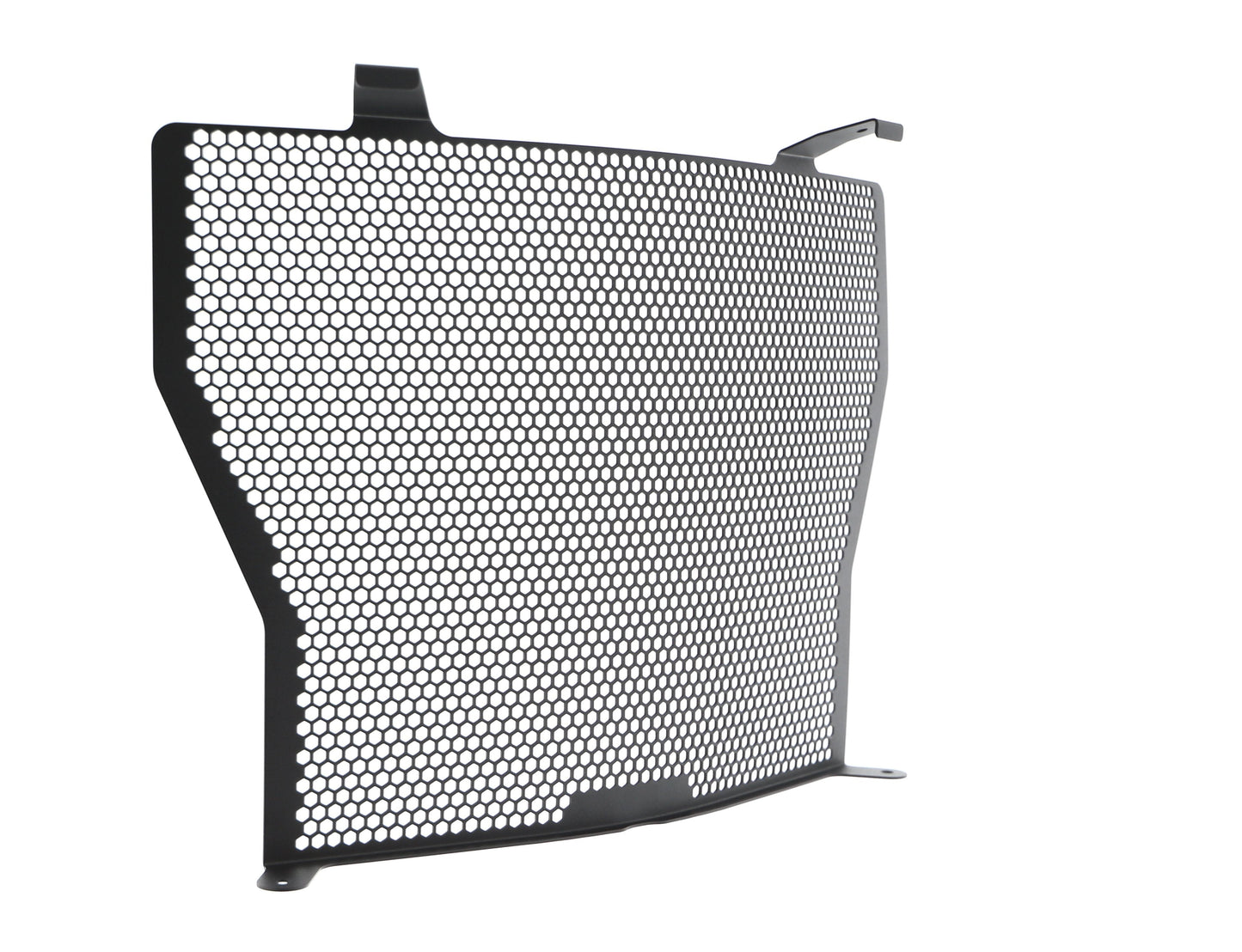 Evotech BMW S 1000 R Radiator Guard (2017-2020)