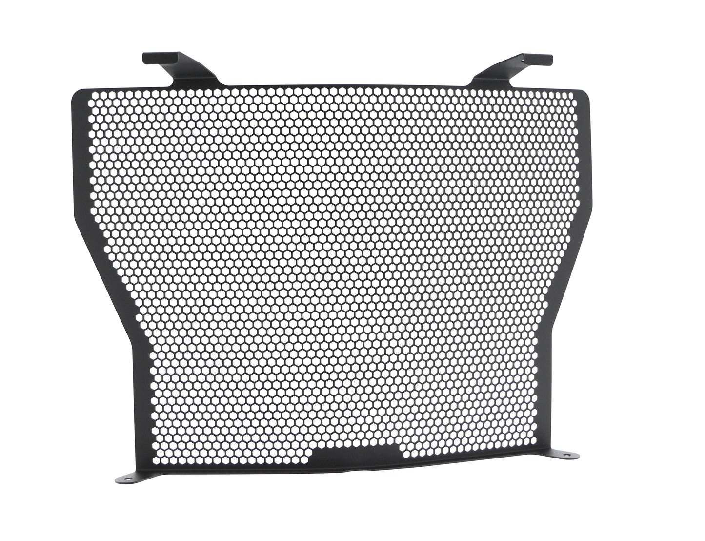 Evotech BMW S 1000 R Radiator Guard (2017-2020)