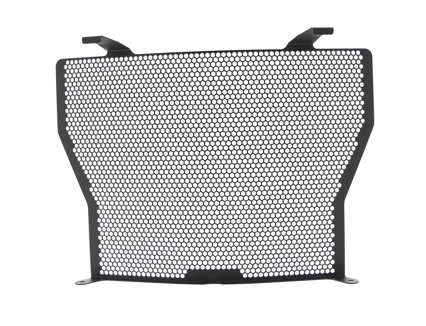Evotech BMW S 1000 R Radiator Guard (2017-2020)