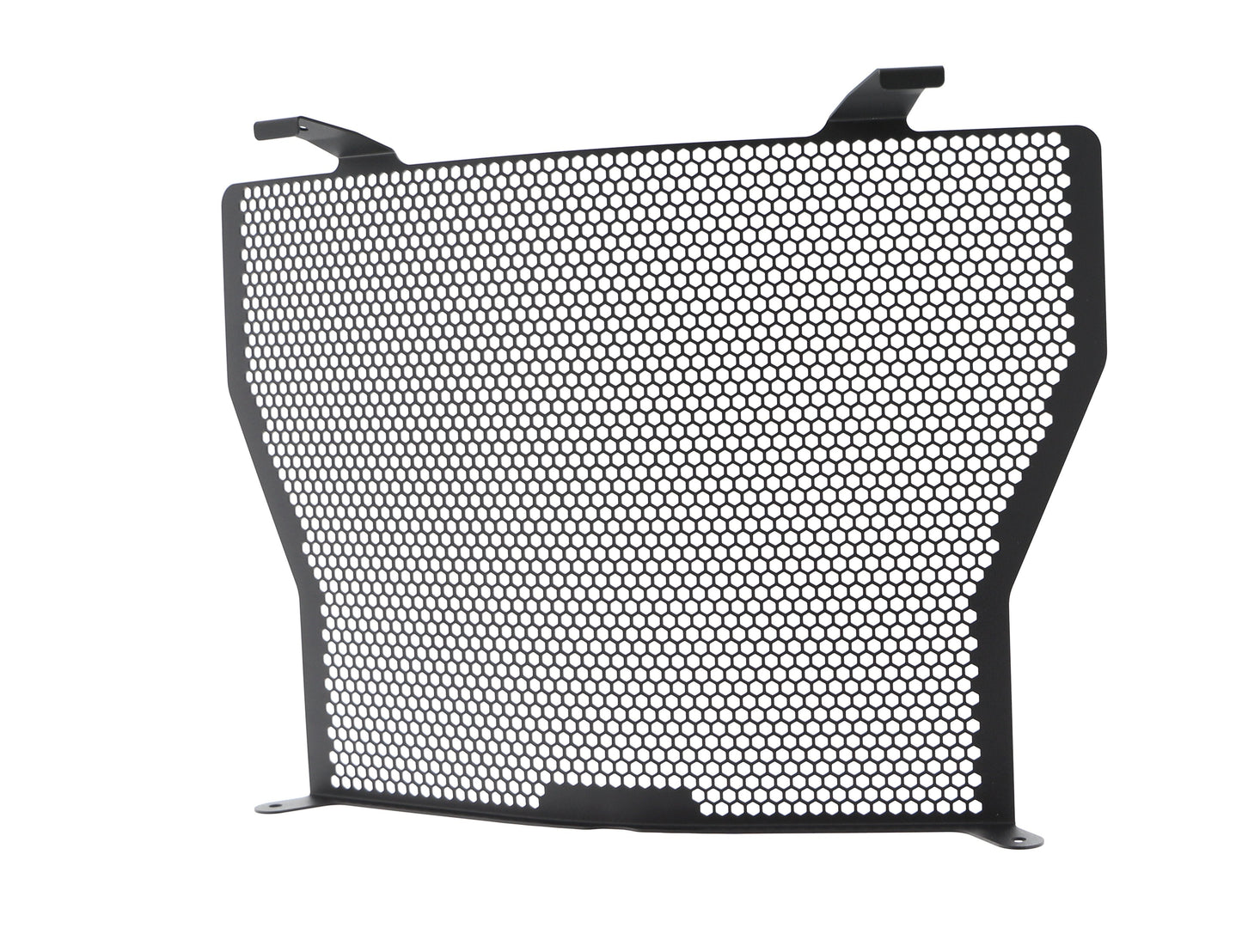 Evotech BMW S 1000 R Radiator Guard (2017-2020)