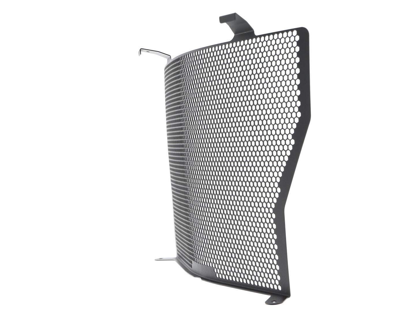 Evotech BMW S 1000 R Radiator Guard (2017-2020)