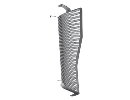 Evotech BMW S 1000 R Radiator Guard (2017-2020)