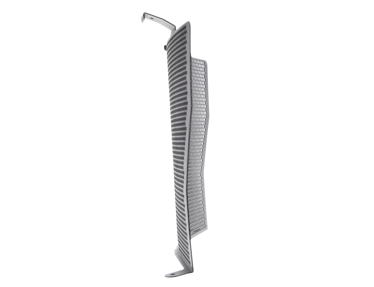 Evotech BMW S 1000 R Radiator Guard (2017-2020)
