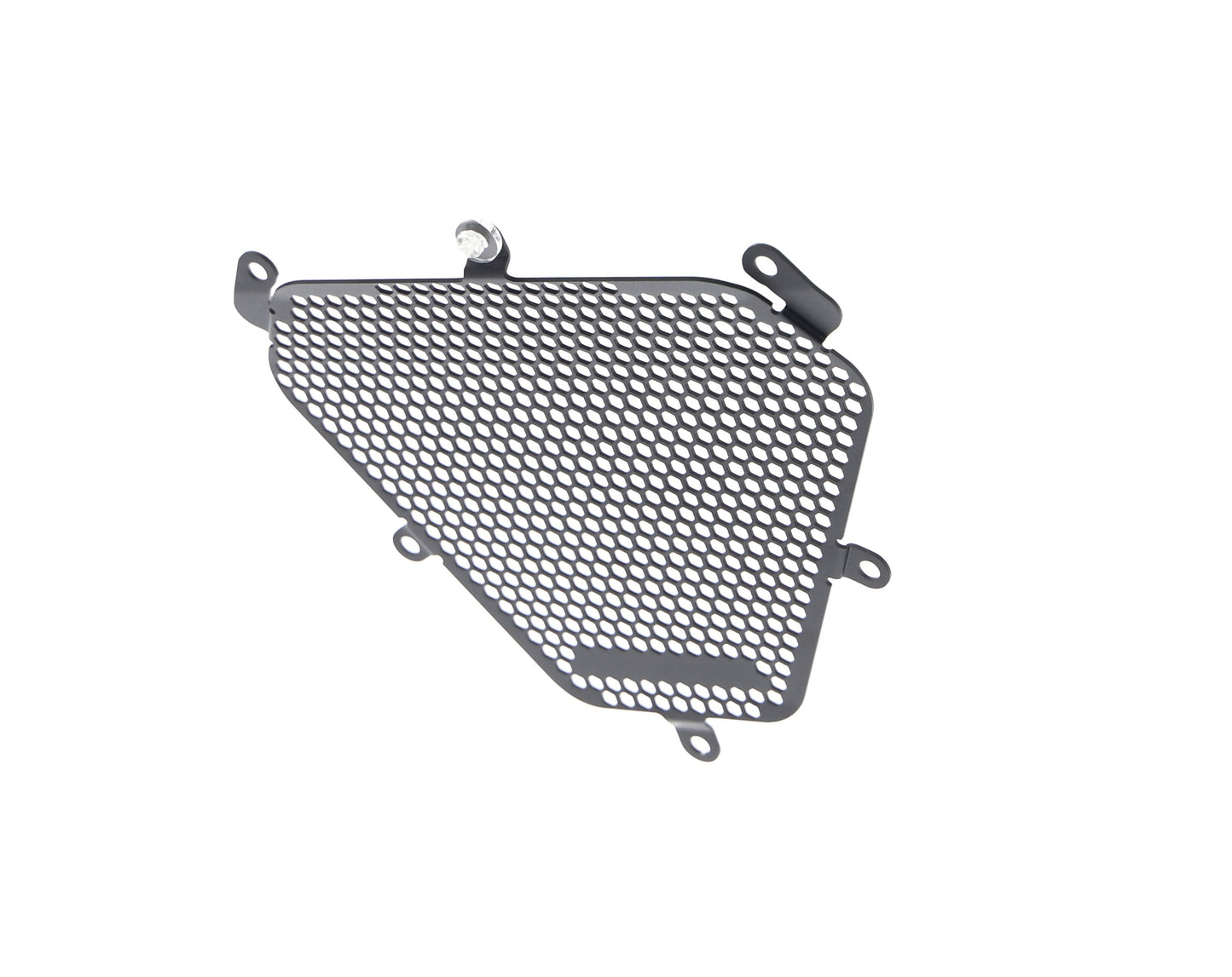Evotech Ducati Diavel 1260 Lamborghini Oil Cooler Guard (2021)