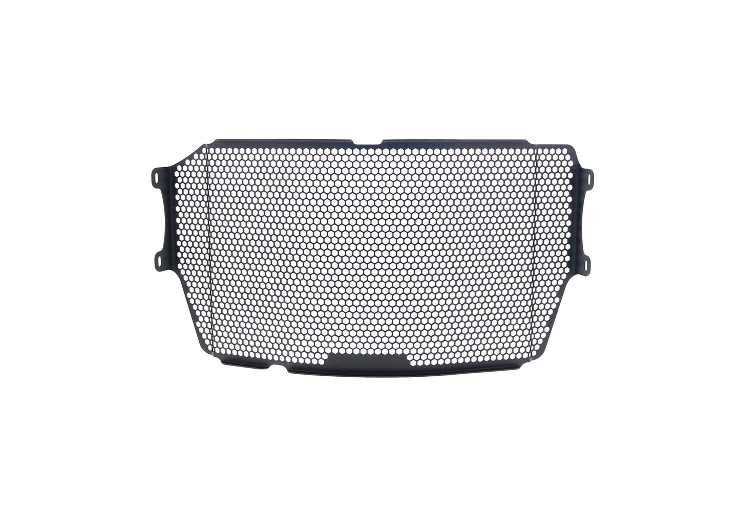 Evotech Ducati Diavel 1260 Lamborghini Radiator Guard (2021)