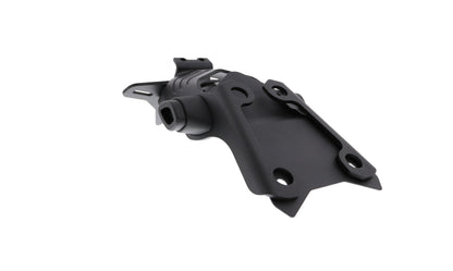 Evotech Ducati Monster 1200 25 Anniversario Tail Tidy 2020