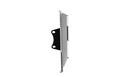 Evotech Ducati Multistrada 1260 D/Air Radiator Guard (2018-2020)