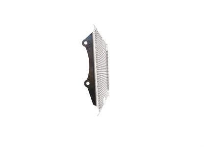 Evotech Kawasaki Z900RS Radiator Guard (2018 - 2020) (Stainless Steel)