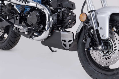 SW-Motech Engine guard