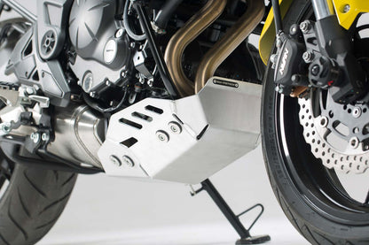SW-Motech Engine guard