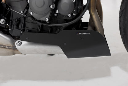 SW-Motech Engine guard